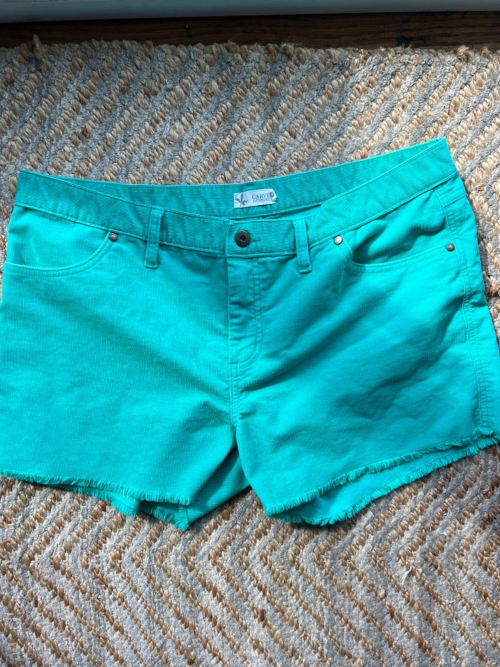 Casual Women's Teal Denim Shorts